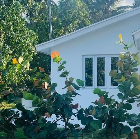 The Cay House Hotell Mangrove Cay Exteriör bild