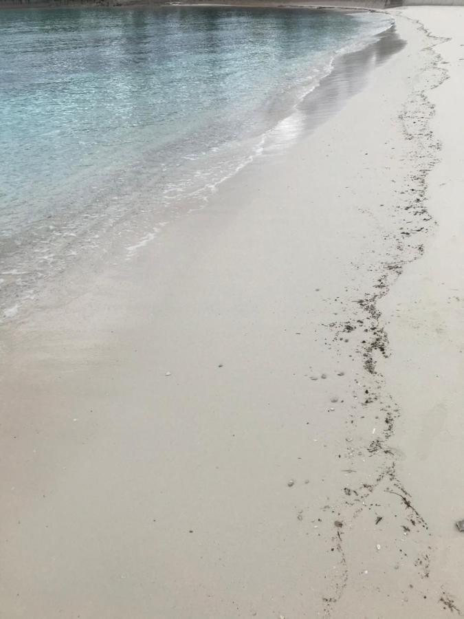 The Cay House Hotell Mangrove Cay Exteriör bild