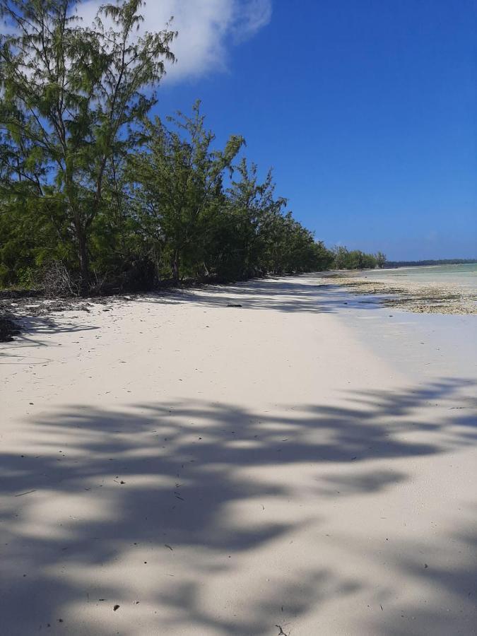 The Cay House Hotell Mangrove Cay Exteriör bild